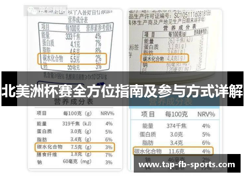 北美洲杯赛全方位指南及参与方式详解