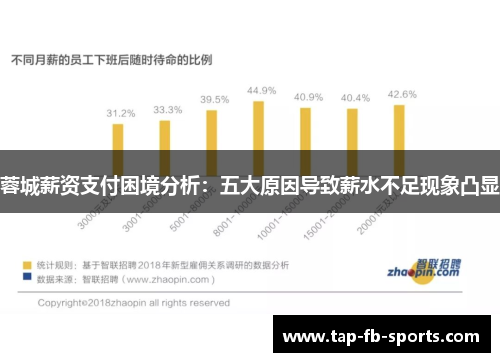 蓉城薪资支付困境分析：五大原因导致薪水不足现象凸显